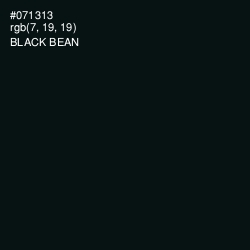 #071313 - Black Bean Color Image